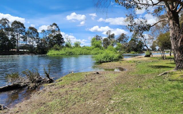 Creating a Wellness Routine Around Spring Water – Hydration Goals, Morning Rituals, and Mindful Drinking